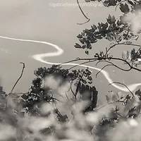 GABRIELLE KELLER PHOTOGRAPHY