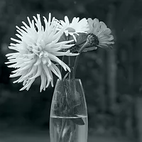 Angelika's Window_5